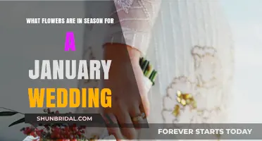 Winter Wedding Flowers: Seasonal Blooms for January Brides