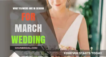 Spring Wedding Flowers: March's Best Blooms