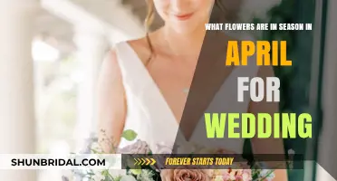 Spring Wedding Flowers: April's Seasonal Blooms