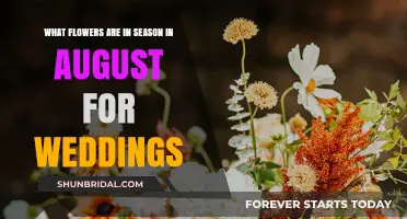 August Wedding Flowers: Seasonal Blooms for Your Big Day