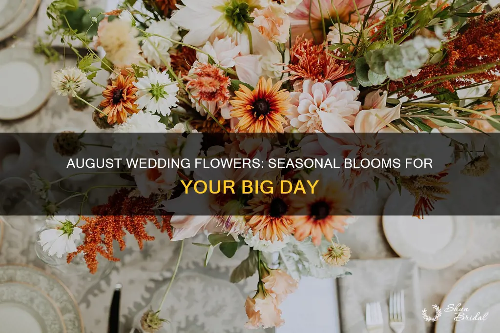 what flowers are in season in august for weddings