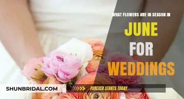 June Wedding Flowers: Seasonal Blooms for Your Special Day