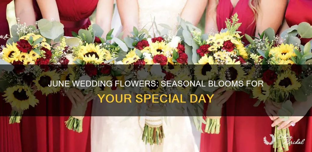 what flowers are in season in june for weddings