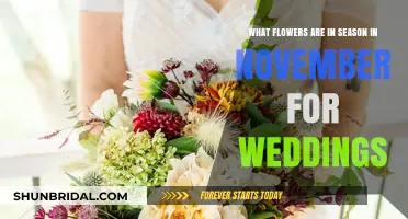 November Wedding Flowers: Seasonal Blooms for Your Big Day