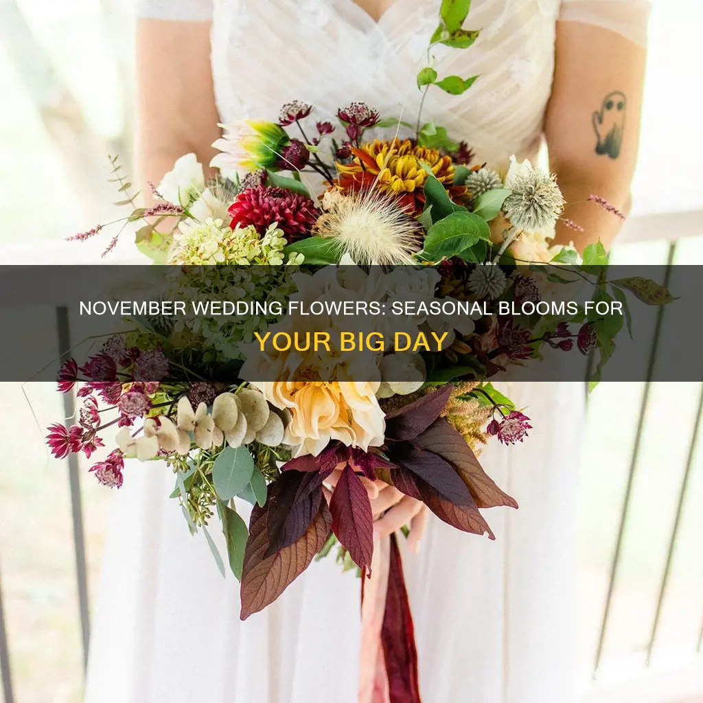 what flowers are in season in november for weddings