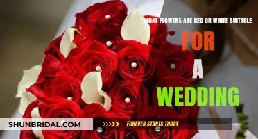 Red and White Wedding Flowers: Perfect Picks