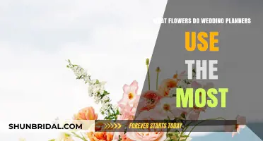 Wedding Planners' Favorite Flowers for Every Season