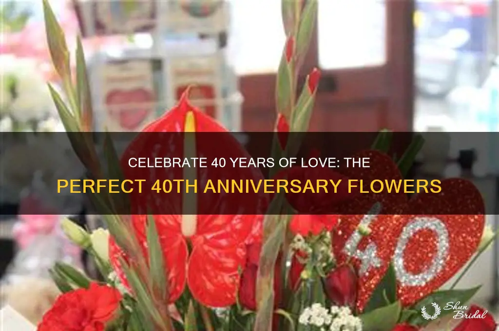 what flowers do you give for 40th wedding anniversary