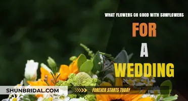 Perfect Wedding Pairings: Flowers That Complement Sunflowers Beautifully