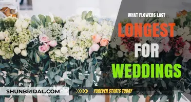 Everlasting Wedding Flowers: The Longest-Lasting Blooms