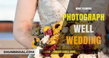 Capturing the Perfect Wedding: Flowers that Shine in Photos