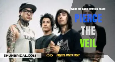 Discover Pierce the Veil on These FM Radio Stations