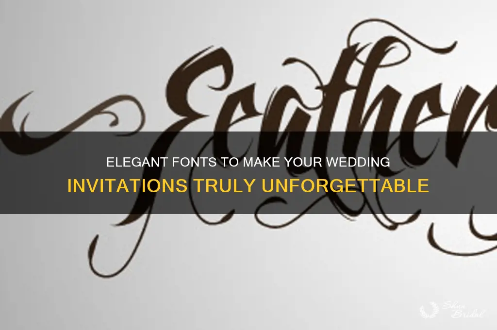 what font is good in wedding cards