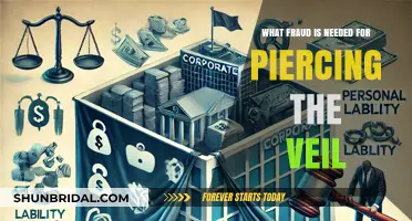 Piercing the Corporate Veil: Understanding the Fraud Required for Liability