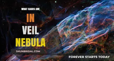 Unveiling the Veil Nebula: Exploring Its Composition and Gaseous Elements