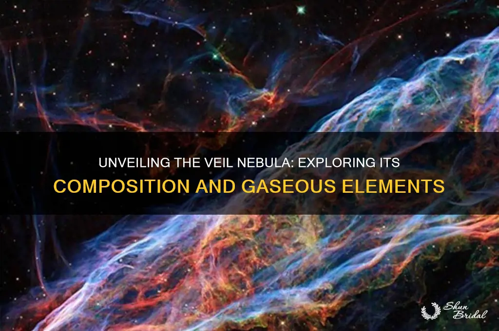 what gases are in veil nebula