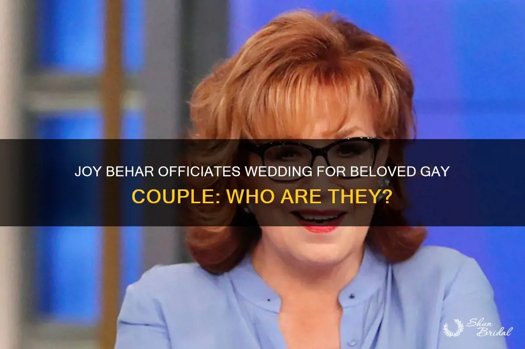 what gay couple did joy behar officiate at their wedding