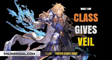 Discover the GBF Class That Grants Veil Abilities in Gameplay