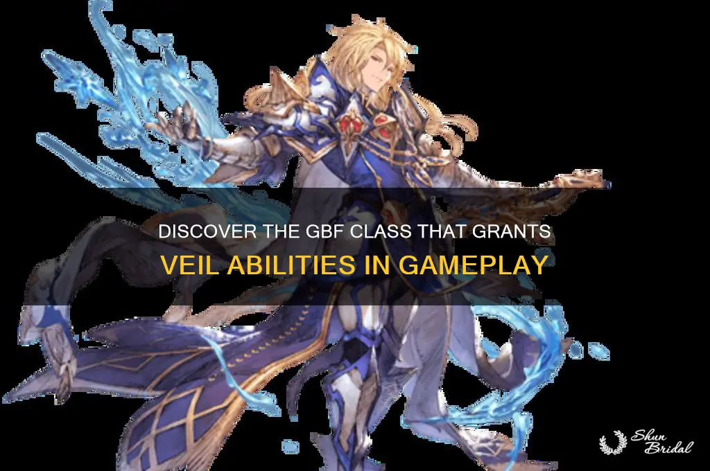 what gbf class gives veil