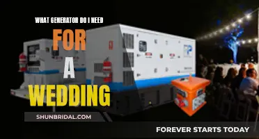 Generators for a Wedding: Choosing the Right One