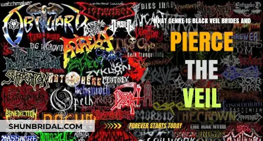 Black Veil Brides and Pierce the Veil: Decoding Their Musical Genres
