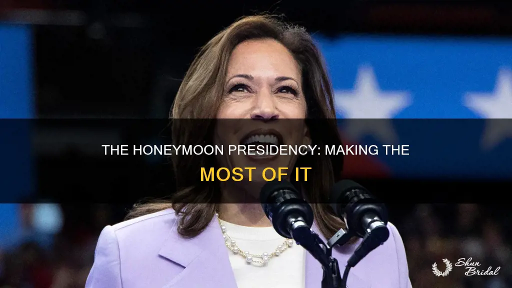 what gets done in the honeymoon phase of presidency