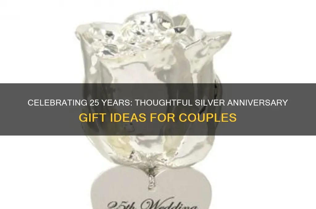 what gift do you give for 25 wedding anniversary