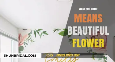 Elegant Girl Names Meaning Beautiful Flower for Your Little Bloom