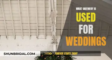 Greenery Wedding Decor: Popular Choices and Ideas