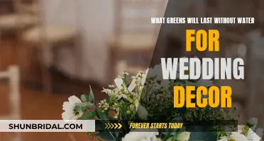 Everlasting Greens for Wedding Décor Without Water Worries