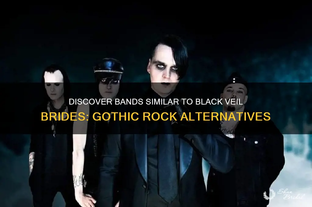 what group is like black veil brides