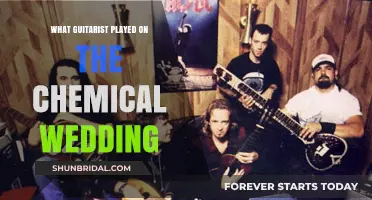The Chemical Wedding's Guitarist: Unveiling the Talent Behind the Album