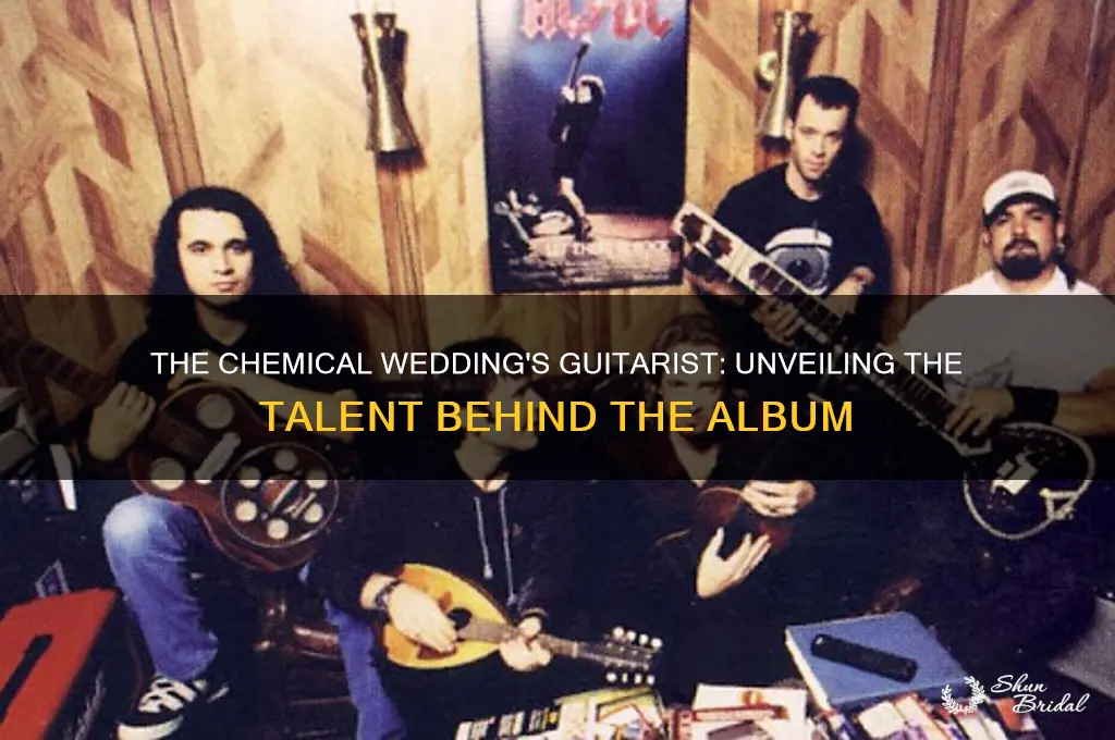 what guitarist played on the chemical wedding