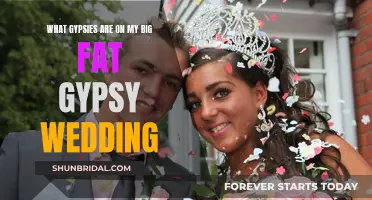 My Big Fat Gypsy Wedding": A Glimpse into the Lives of Irish Travellers and Their Lavish Nuptial