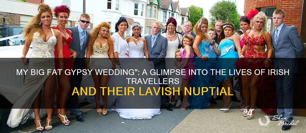 what gypsies are on my big fat gypsy wedding