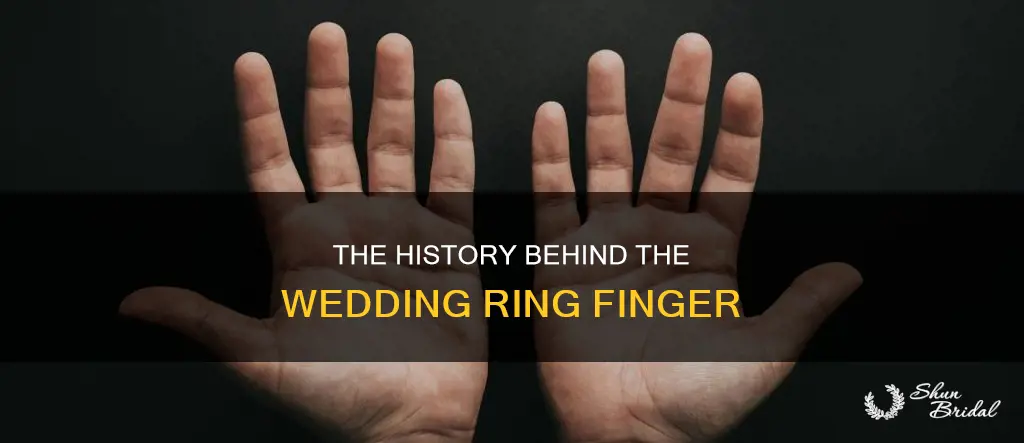 what hand does rhe wedding ring go on