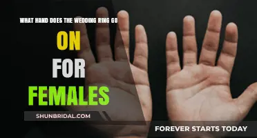 The Wedding Ring: Which Hand for Women?