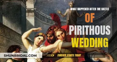 Pirithous' Wedding Aftermath