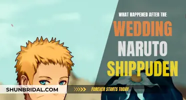 The Wedding's Aftermath: Naruto's New Challenges