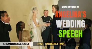 Angelina's Wedding Speech: Chaos and Tears