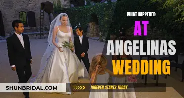 Angelina's Wedding: Chaos and Confusion