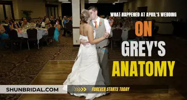 April's Wedding: Grey's Anatomy Chaos