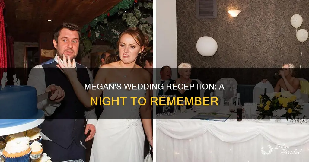 what happened at megan