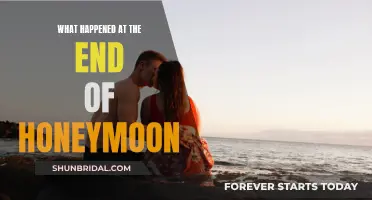 Honeymoon's End: A Tale of Unexpected Adventure