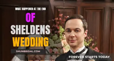 Sheldon's Wedding: Chaos and Confusion