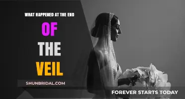 Unveiling the Mystery: The Surprising Conclusion of the Veil's Tale