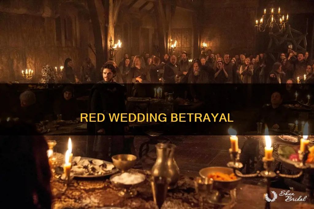 what happened at the red wedding game of thrones