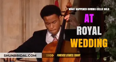 Royal Wedding Cello Solo: The Unexpected Moment That Captivated Millions