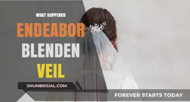 Endeavor Blenden Veil Mystery: Unraveling the Untold Story Behind the Incident