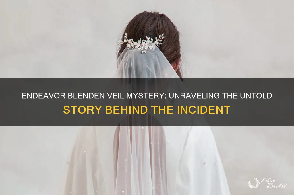 what happened endeabor blenden veil